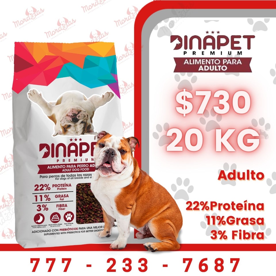 Dinapet Premium adulto 20 kg