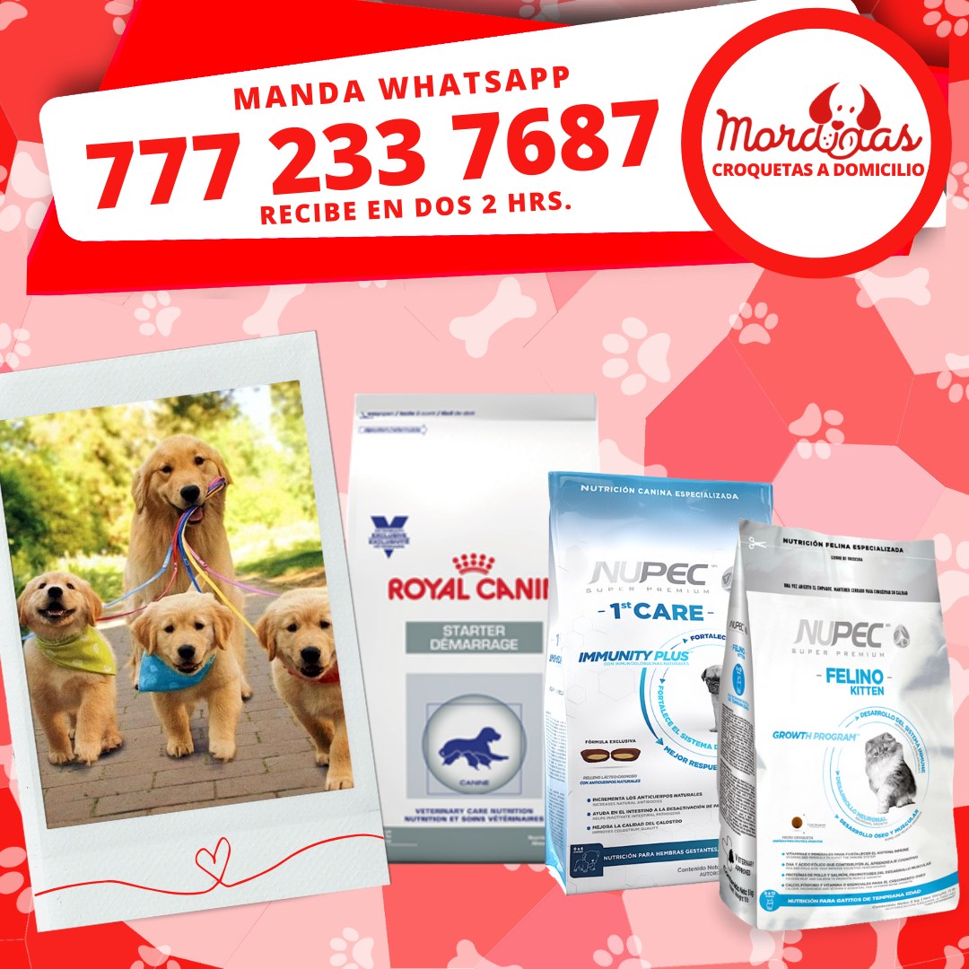 Royal Canin y Nupec para cachorros y gatitos